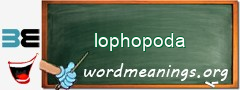 WordMeaning blackboard for lophopoda